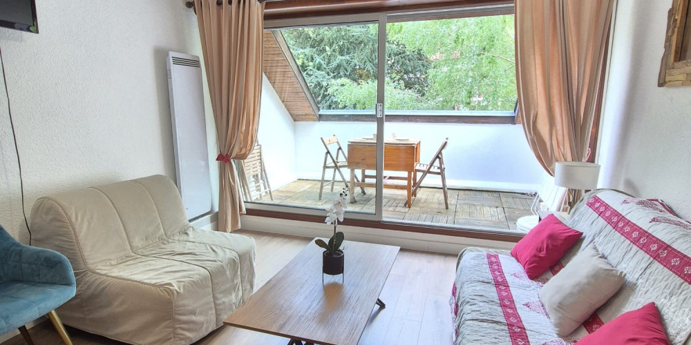 appartement à ST LARY SOULAN (65170)